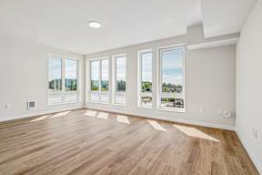 A room with wooden floors and white walls, with four windows showing a view of trees and sky.