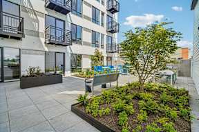 A small tree in a planter is the focal point of a courtyard between two buildings.
