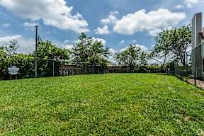 A grassy field with trees and a fence in the background.