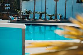 A pool with a yellow palm leaf in the foreground.