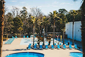 A pool surrounded by palm trees and deck chairs.