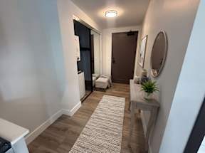 A hallway with a rug, a mirror, a plant, and a door.