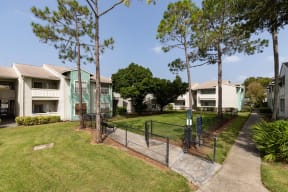 the homes are fenced in and have a yard with trees
