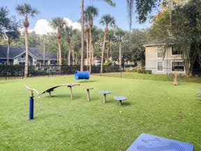 On-Site Bark Park