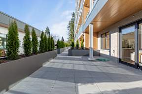 A modern building with a long concrete walkway and a row of trees on the left in Hillcrest Ave located in Abbotsford, BC