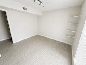 A room with a carpeted floor and spacious closet and shelves located at Canfield Lakes Apartments in Houston TX