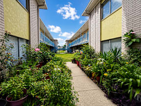 A garden pathway between the buildings located at the pointe apartments in Pasadena, Tx