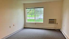 A carpeted living room with a window overlooking a yard.