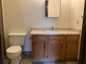 A white toilet sits next to a sink and vanity with wooden cabinets in a bathroom.