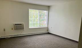 A carpeted living room with a window and a wall-mounted air conditioner unit.