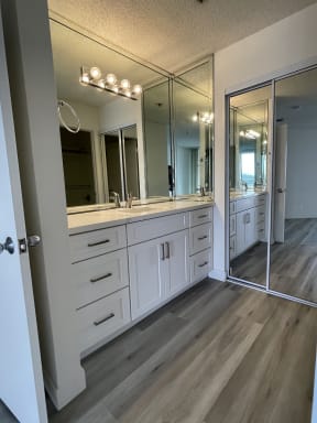 Bathroom with Hardwood Floors, White Cabinets and Mirrored Wardrobe Closet