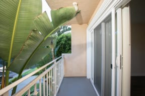 Apartment Balcony and View