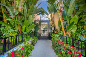 Apartment Building in Los Angeles Greenery