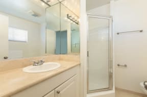 Bathroom with Shower