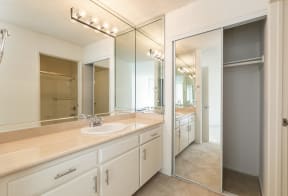 Bathroom with Shower and Mirrored Wardrobe Closet