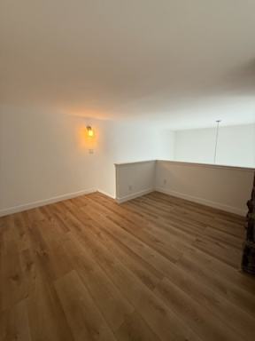Loft with wood flooring