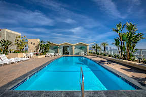 A large swimming pool in a sunny backyard.