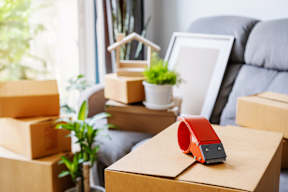 A red tape dispenser sits on a wooden box in a room with boxes and a plant.
