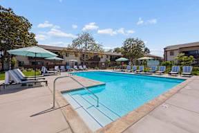 A large swimming pool with sun loungers and umbrellas.