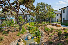 A garden with a pond and a tree in front of a building.