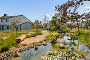 Large log benches overlook a tranquil koi pond with lilly pads.