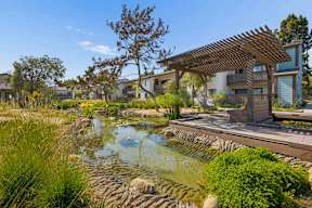 A serene pond with a wooden pergola overlooking it.