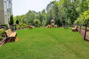 a large grassy area with a playground in the background