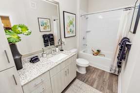 Bathroom with Mirror at POINTE AT EAST SHORE APARTMENTS, APOPKA, 32703