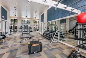 A gym with a variety of equipment including a red medicine ball at CODA Apartments , Orlando, Florida