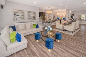 Furnished Living Room at HAVEN POINTE AT CAROLINA FOREST APARTMENTS, Myrtle Beach, 29579