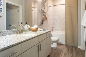 a bathroom with a sink and a toilet and a shower