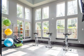 the gym in the owners home has plenty of windows and exercise equipment