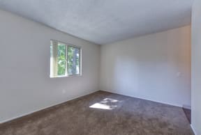 Vacant upstairs bedroom with carpeting and large window