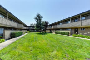 Community Outdoor Green Space and Apartment Exteriors  at Olympus Park Apartments, California