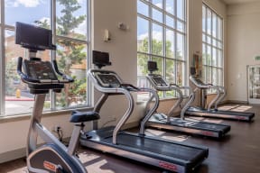 Community fitness center with large windows that allow a lot of sunlight in with a row of cardio equipment looking out the windows.