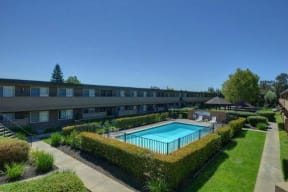 Outdoor Swimming Pool, Apartment Exteriors,Grass, and Bushes  at Olympus Park Apartments, California