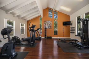 a home gym with exercise machines and a tv on the wall