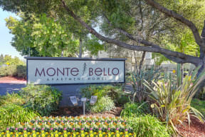 Monte Bello Community Monument sign at front of the community.  There is a mature tree hanging over the sign and flowers in front of it. at Monte Bello Apartments, Sacramento, CA