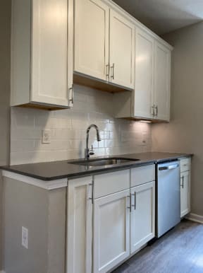 Sycamore Kitchen, Soft Closed Cabinets