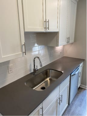 Deep Sink with Goose Neck Faucet