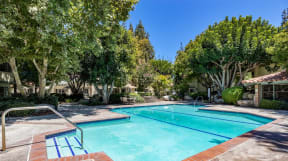 a swimming pool with trees in the background