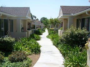 Exterior of Arbor Villas