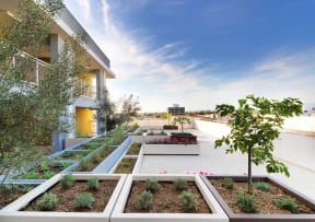 Downey View Community Garden
