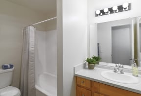 Mountainside model unit sink and shower