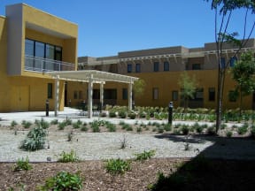 Whispering Palms Community Space