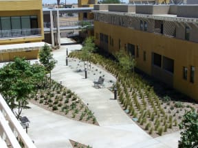 Whispering Palms Community Space