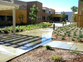 Whispering Palms Walkway