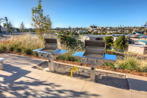 Vista Del Puente Outdoor Barbeques