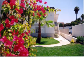 Vista Del Sol Flowers and Community Building