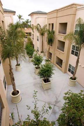 Talmadge Senior Village Courtyard